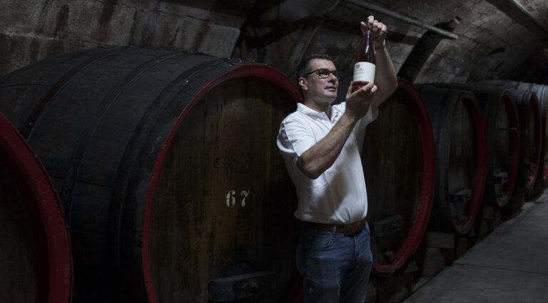 Weingut Provis Anselmann - Weinkeller