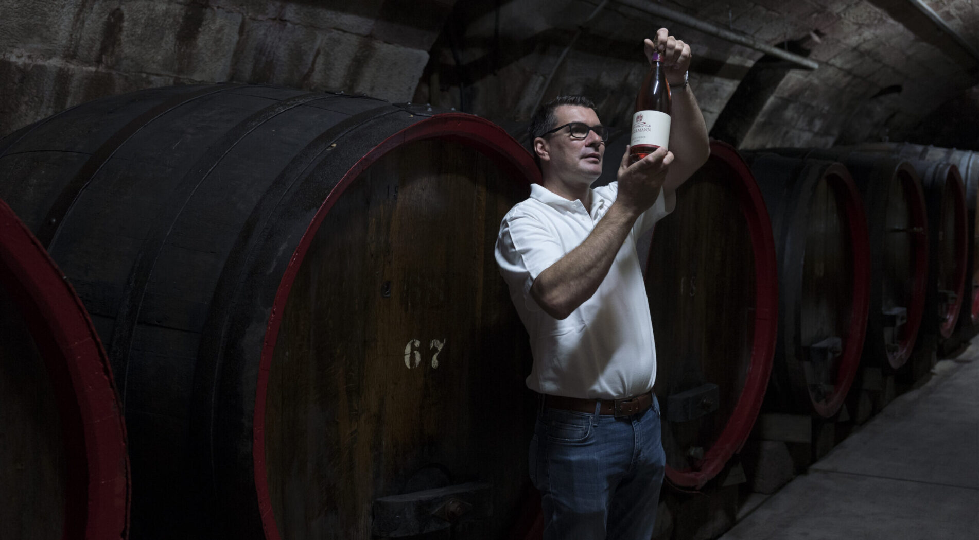 Weingut Provis Anselmann - Weinkeller