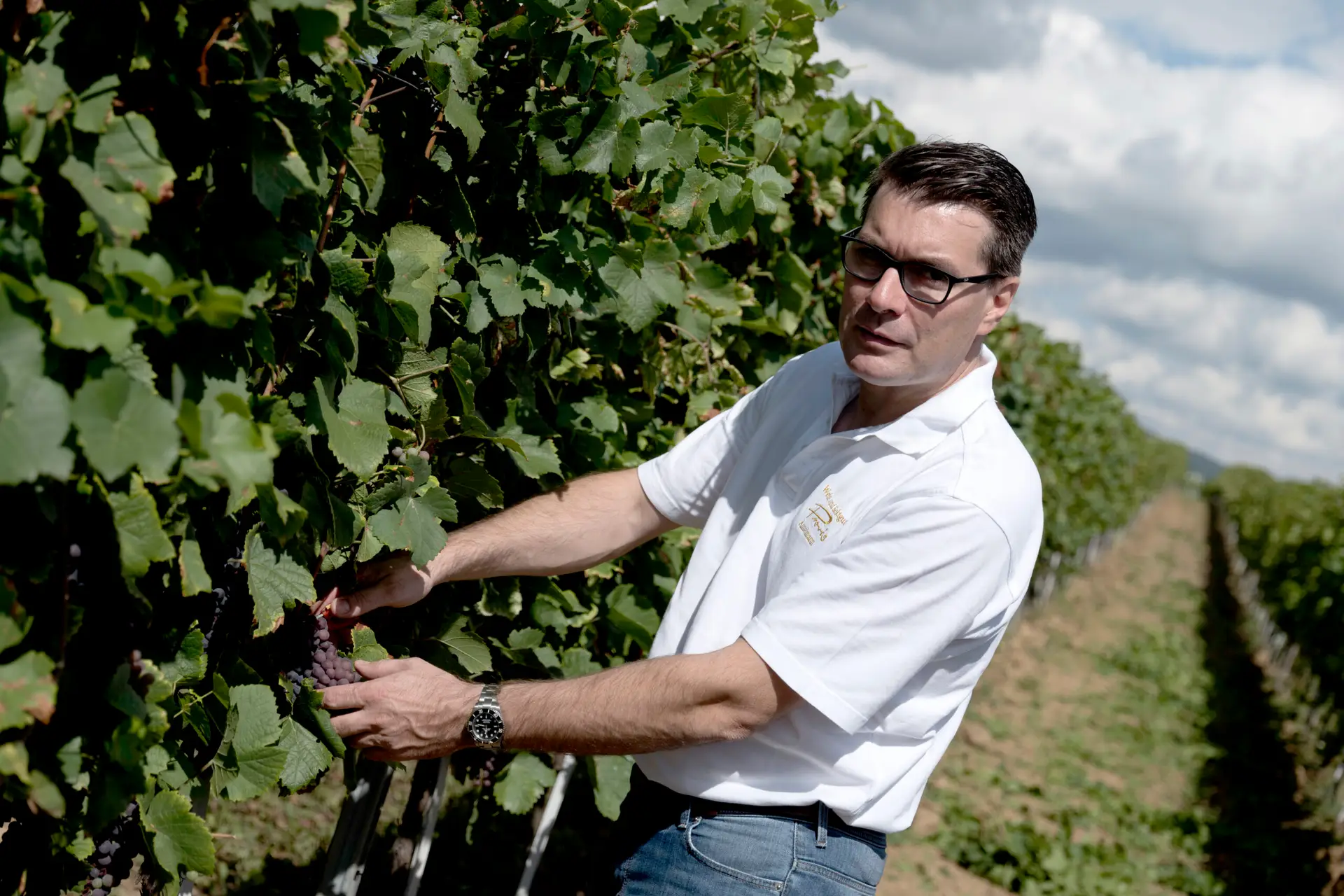 Weingut Provis Anselmann - Christian Anselmann