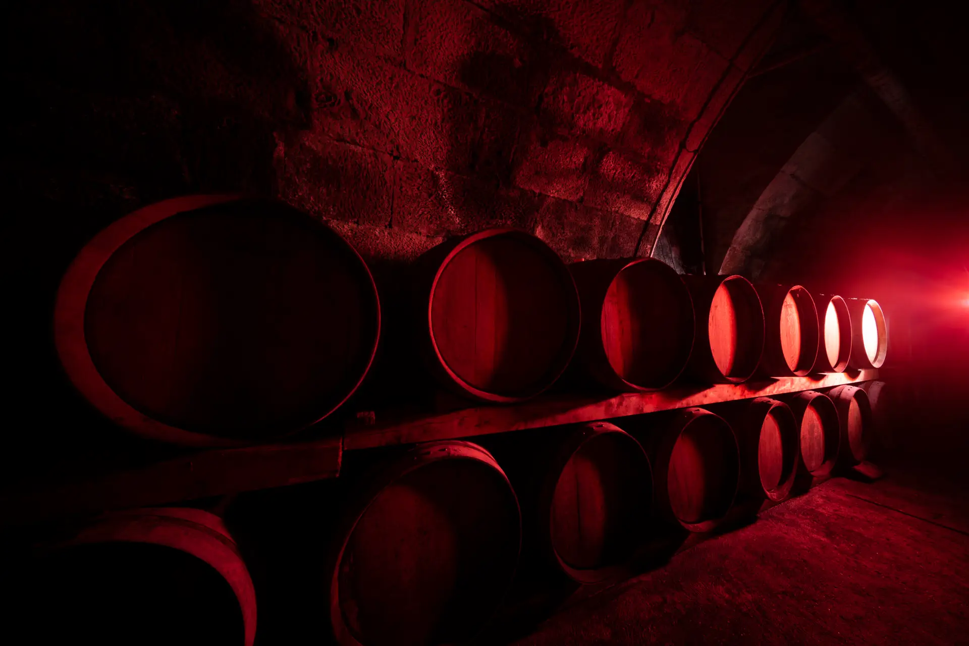 Weingut Provis Anselmann - Weinkeller