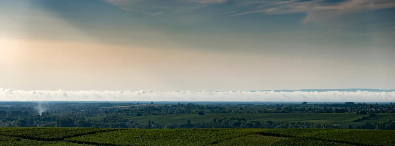 INFO@FOTOGRAFIE-PRISMA.DE-1090479