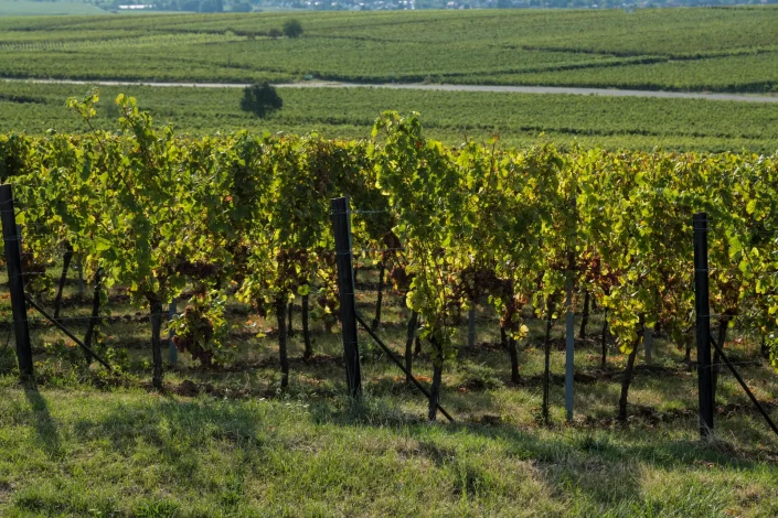 INFO@FOTOGRAFIE-PRISMA.DE-1090486