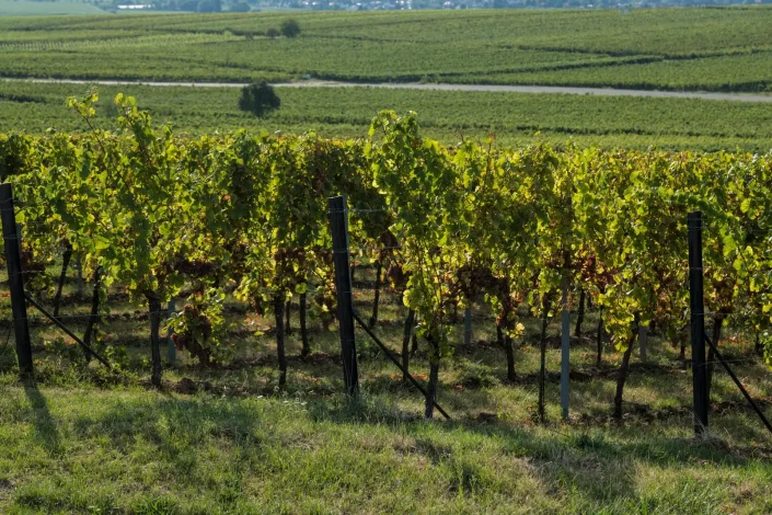 INFO@FOTOGRAFIE-PRISMA.DE-1090486