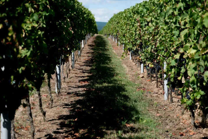 INFO@FOTOGRAFIE-PRISMA.DE-1090839