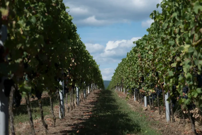 INFO@FOTOGRAFIE-PRISMA.DE-1090840