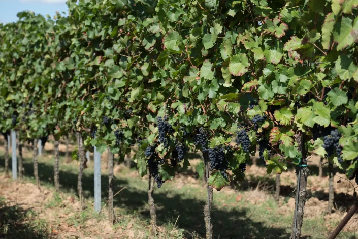 INFO@FOTOGRAFIE-PRISMA.DE-1090843