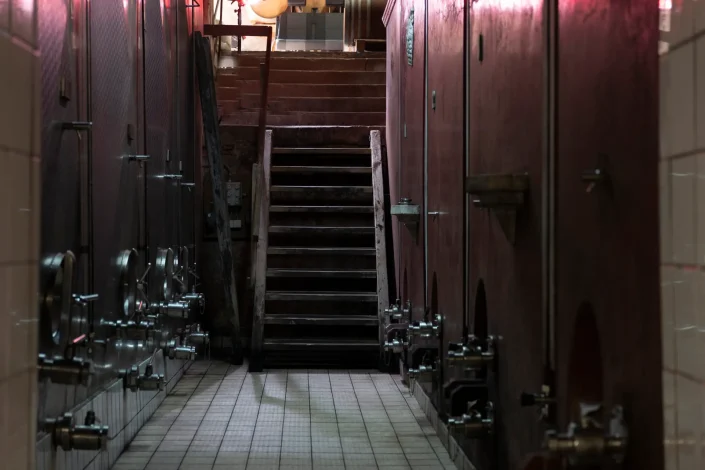 ©www.fotografie-prisma.de-1090106