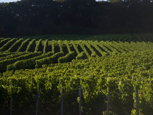 ©www.fotografie-prisma.de-9997202