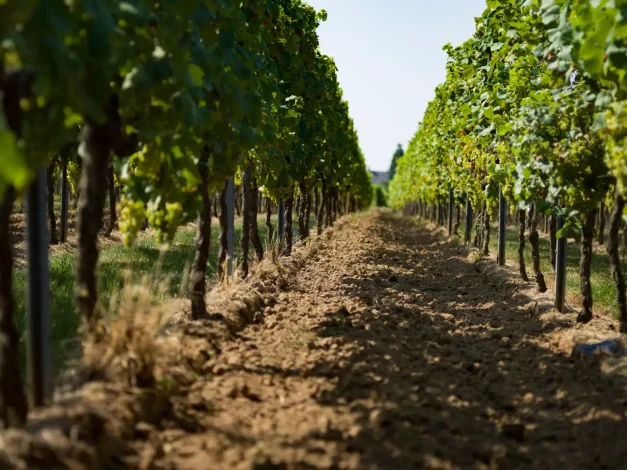 ©www.fotografie-prisma.de-9997339